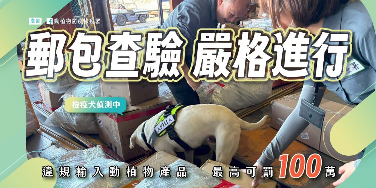 包裹查驗嚴格進行